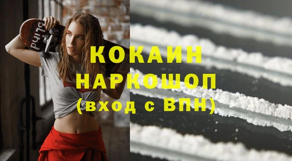 СК Новодвинск