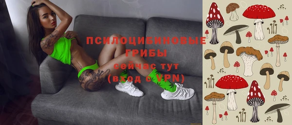 СК Новодвинск