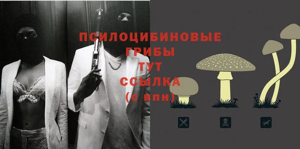 МДПВ Новокубанск
