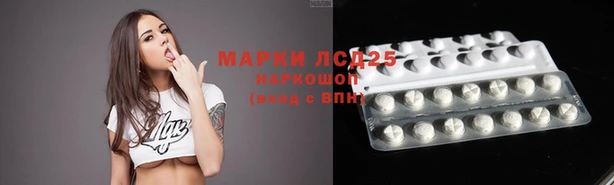 МДПВ Новокубанск