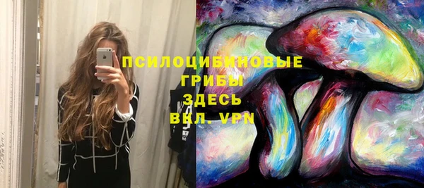 герыч Новозыбков