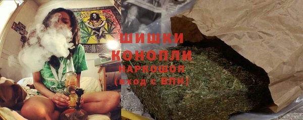 СК Новодвинск