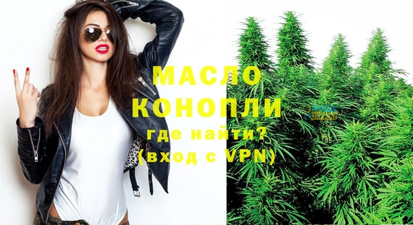 СК Новодвинск