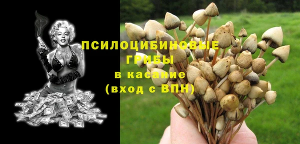 МДПВ Новокубанск