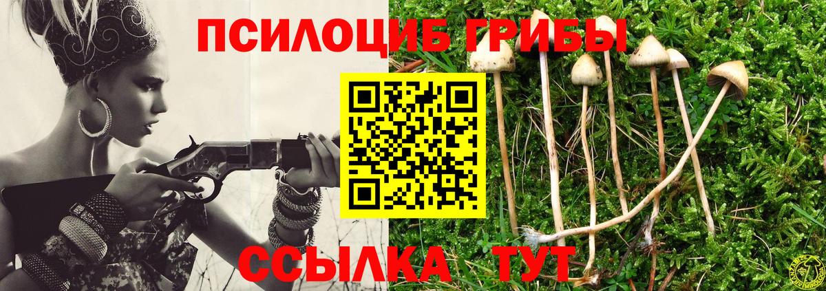 Псилоцибиновые грибы Cubensis  что такое   Верхняя Салда 