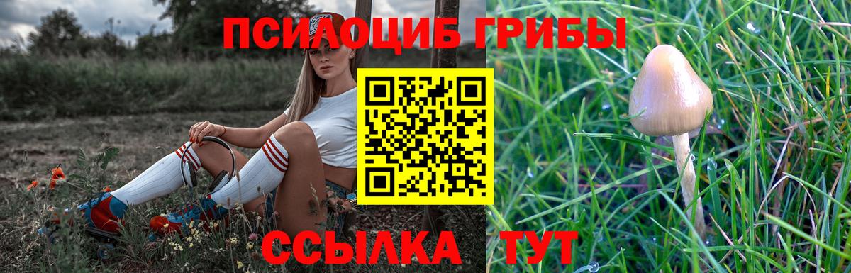 Псилоцибиновые грибы прущие грибы Верхняя Салда